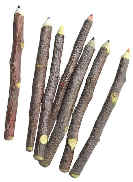 The Complete Guide to Eco-Friendly Pencils: Sustainable Writing Instruments for the Conscious Creator
